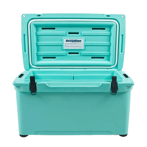 ENGL CH65 seafoam ALT2