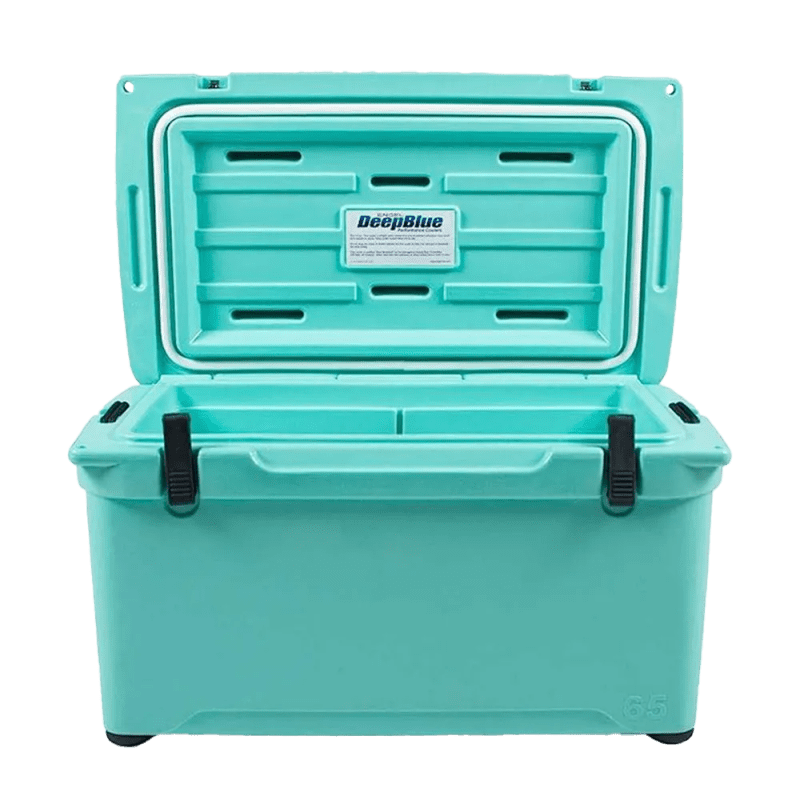 ENGL CH65 seafoam ALT2